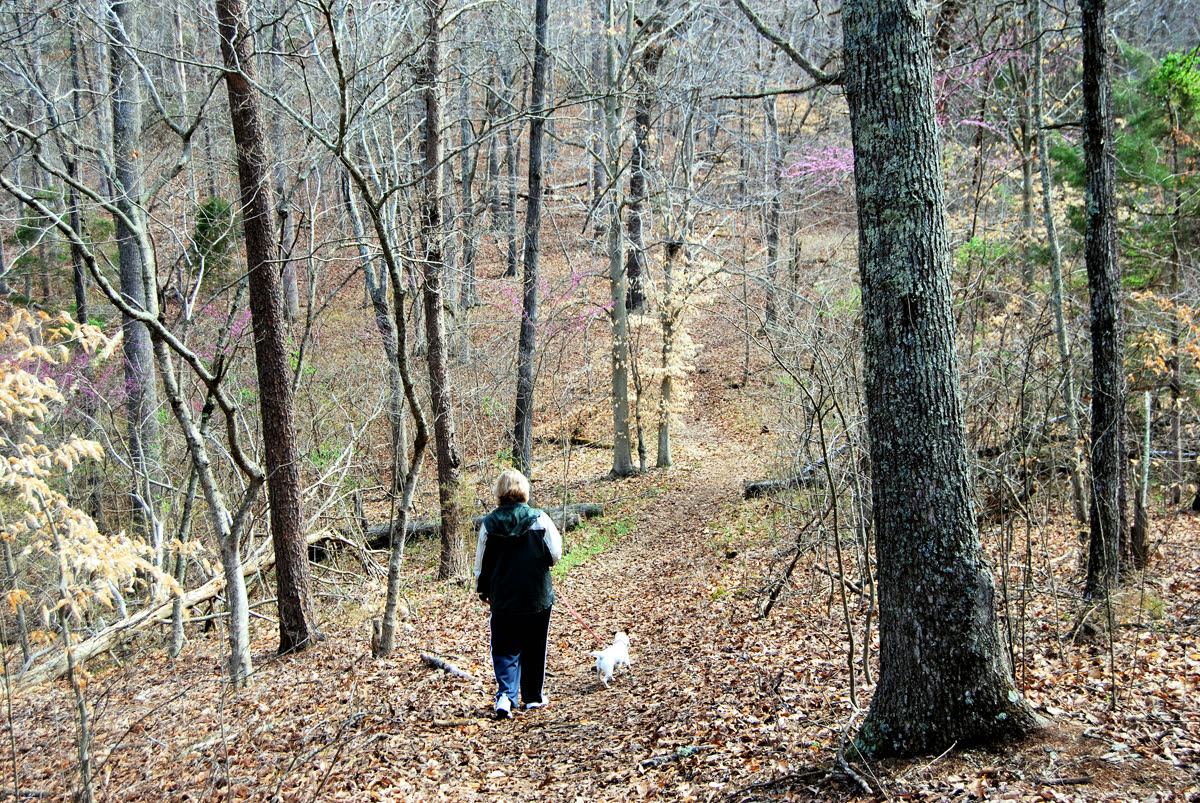 A person walking a dog on a trail along the James River in Virginia