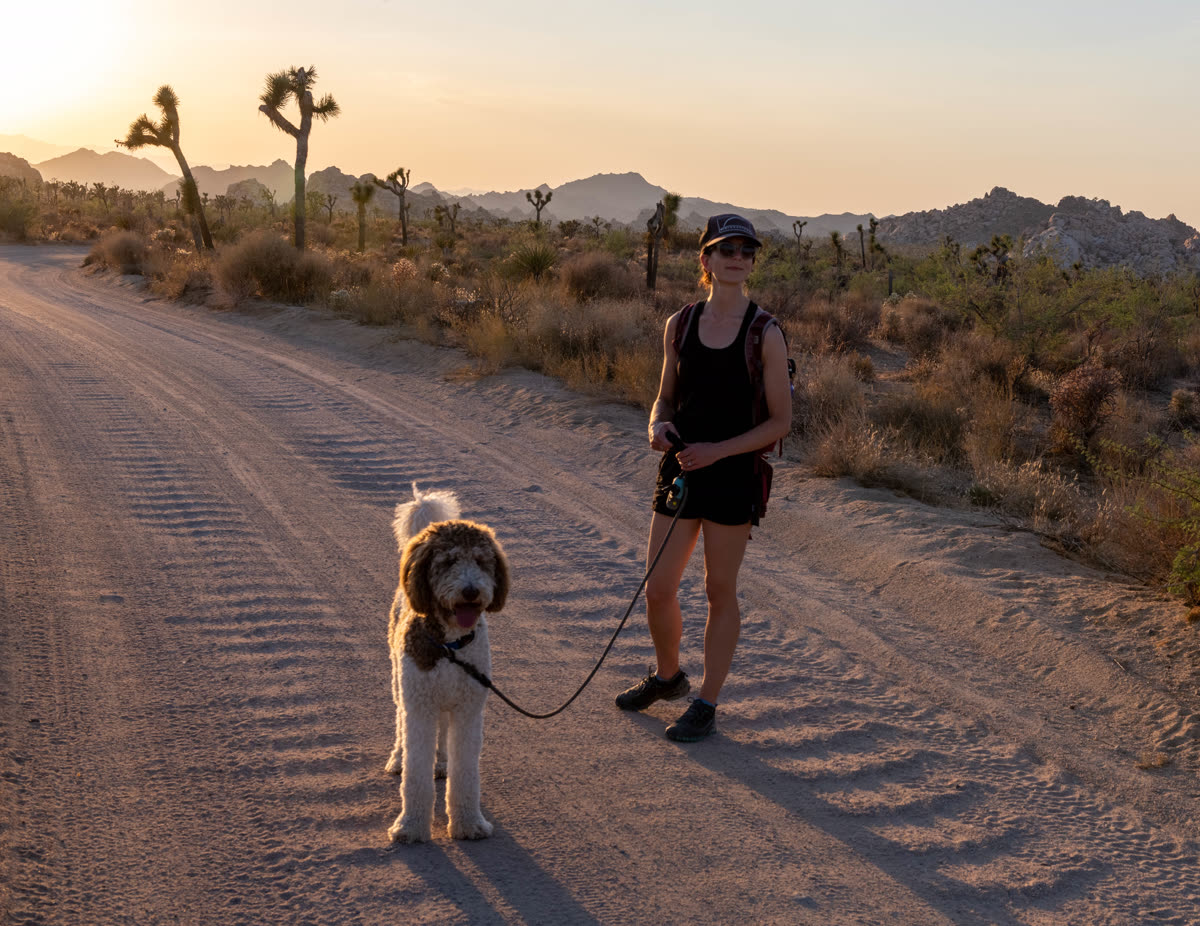 A visitor walking her dog down a trail in a national park